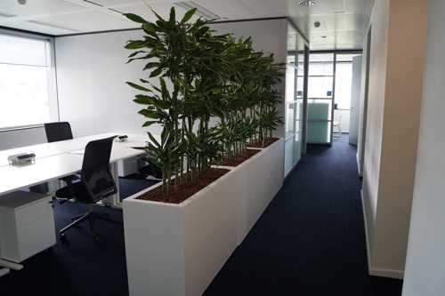 kantoor planten scherm