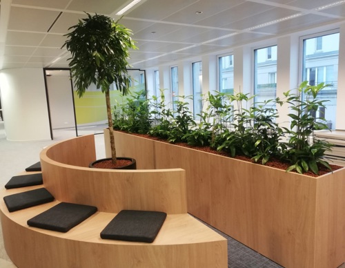planten kantoor Brussel