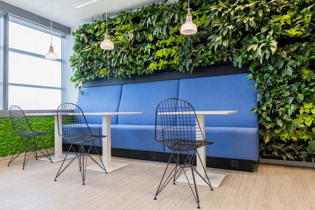 room Geniet bouw Plantenmuur of verticale tuin op kantoor | Green Concept