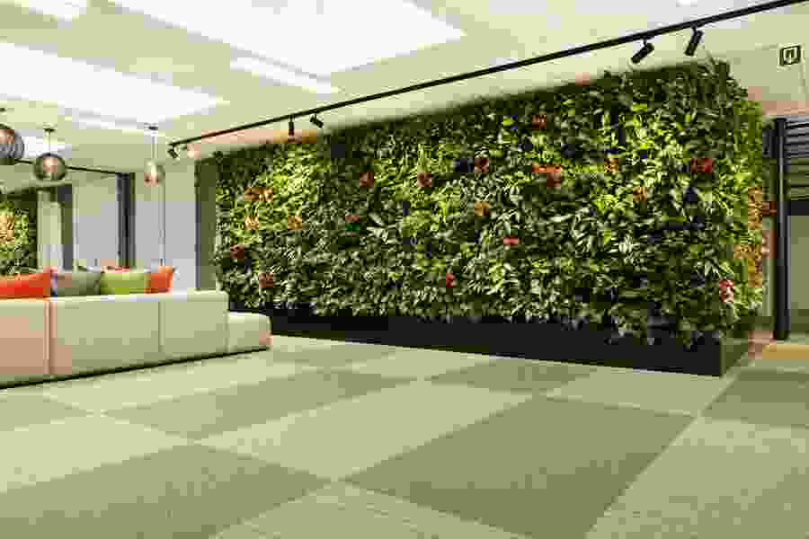 Mur de plantes
